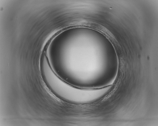 X0000070880788200606191314