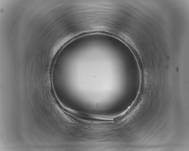 X0000070880789200606191314