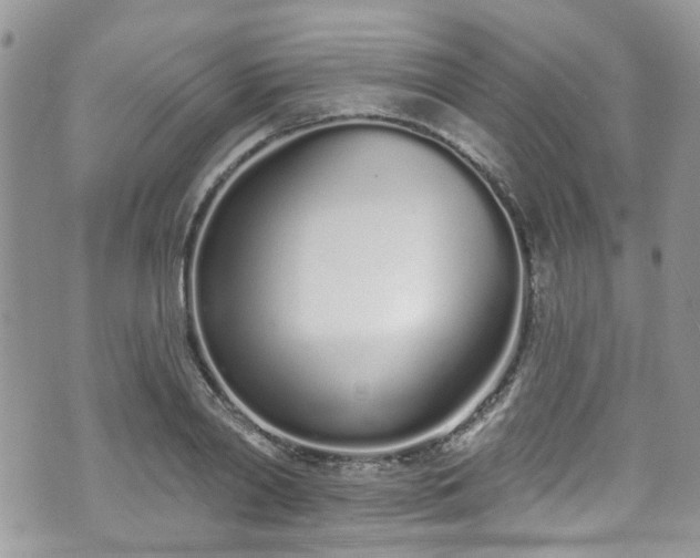 X0000070880790200606191314