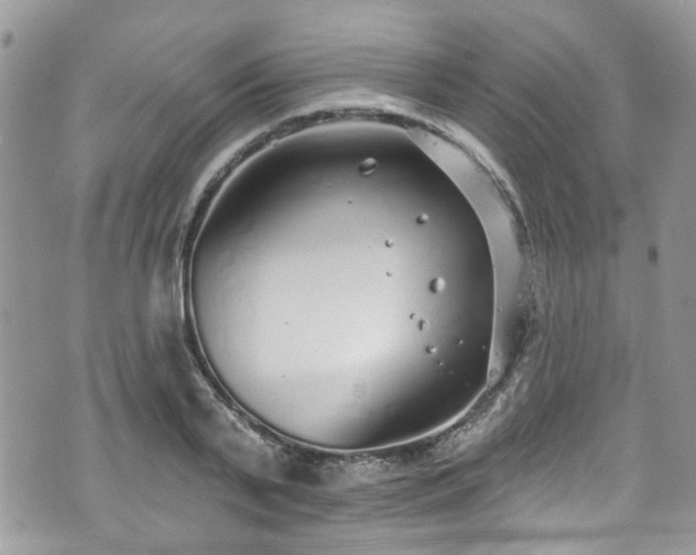 X0000070880791200606191314