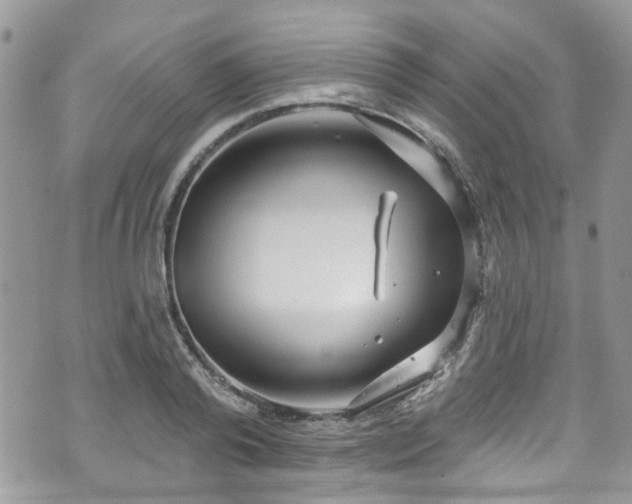 X0000070880792200606191314