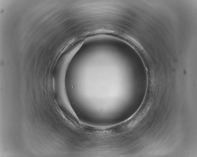 X0000070880793200606191314