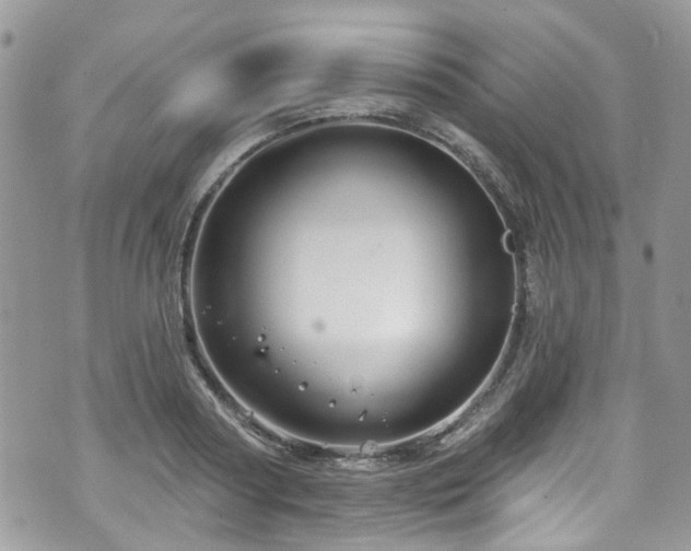 X0000070880794200606191314