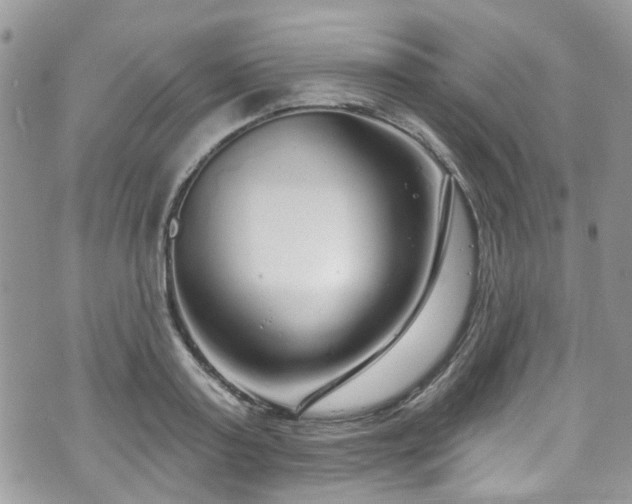 X0000070880795200606191314