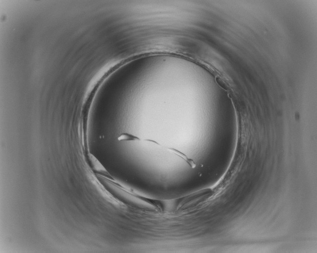 X0000070880796200606191314