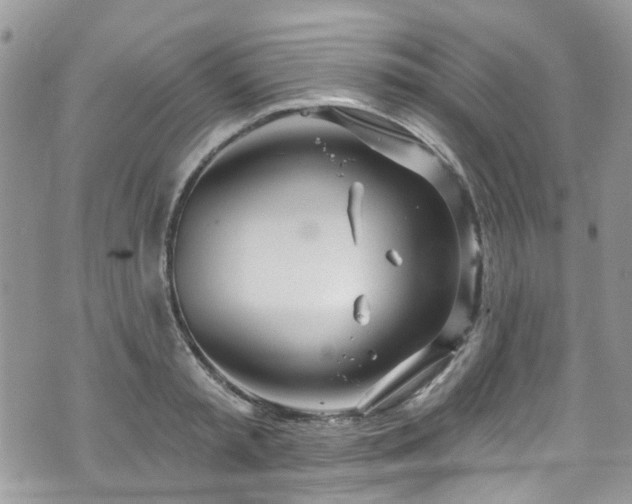 X0000070880797200606191314