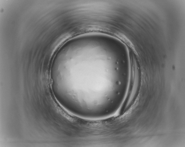 X0000070880798200606191314