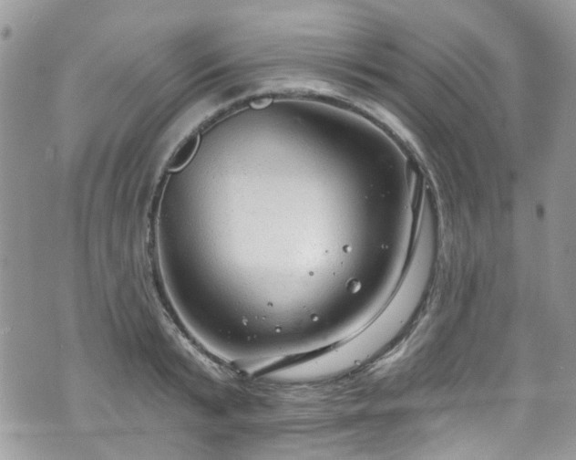 X0000070880799200606191314