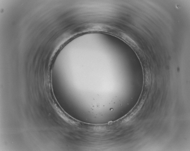 X0000070880800200606191314