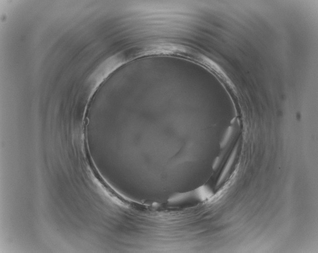 X0000070880802200606191314