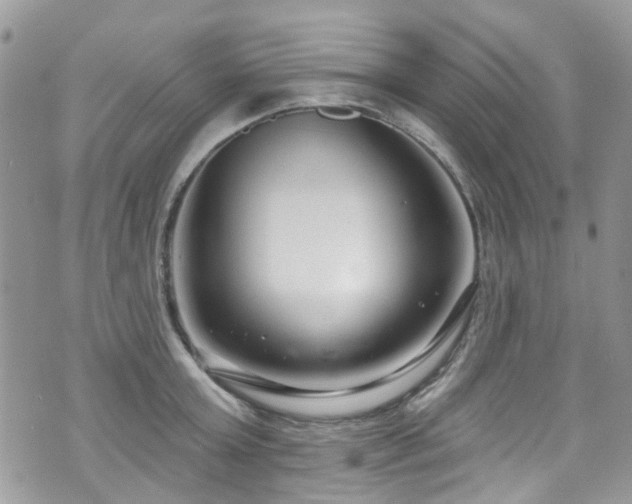 X0000070880803200606191314