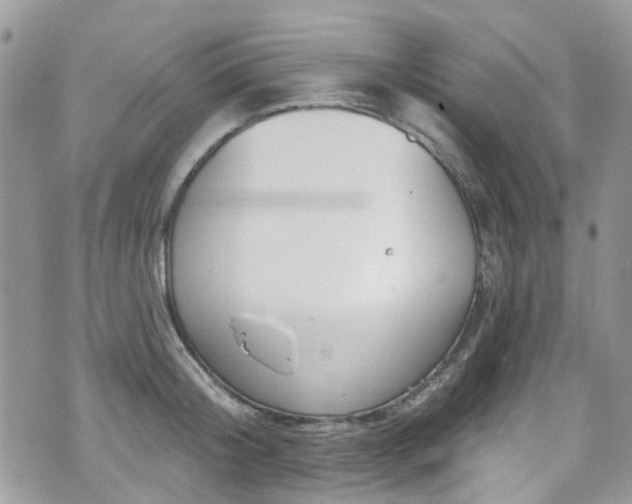 X0000070880804200606191314