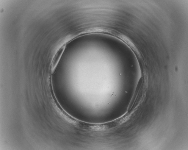 X0000070880805200606191314