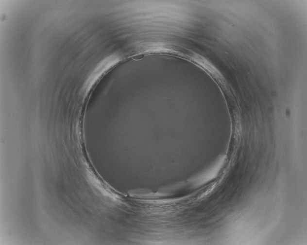 X0000070880806200606191314