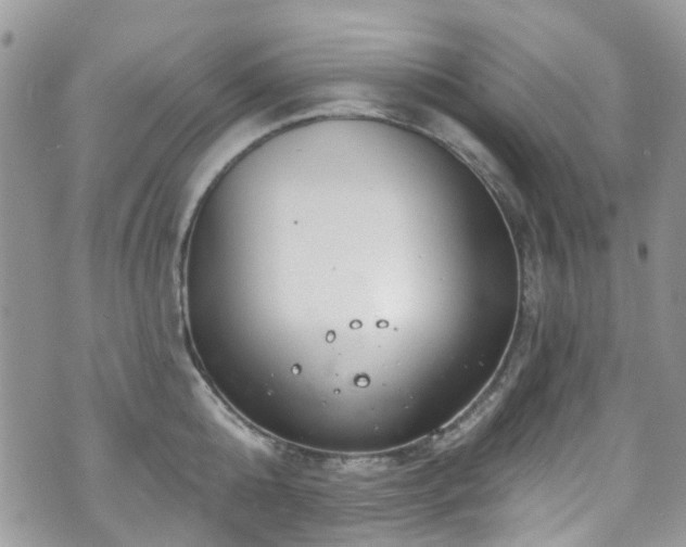 X0000070880808200606191314