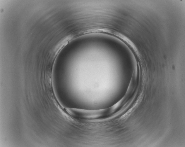 X0000070880809200606191313