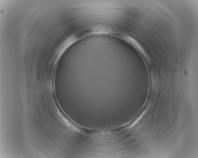 X0000070880810200606191313