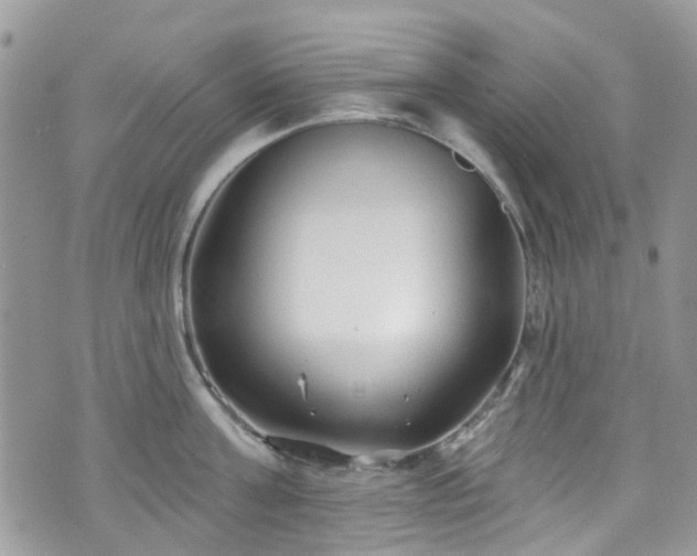 X0000070880811200606191313