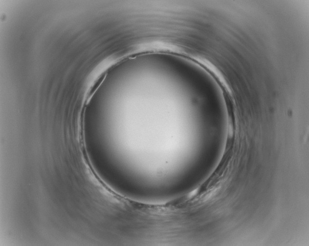 X0000070880815200606191313