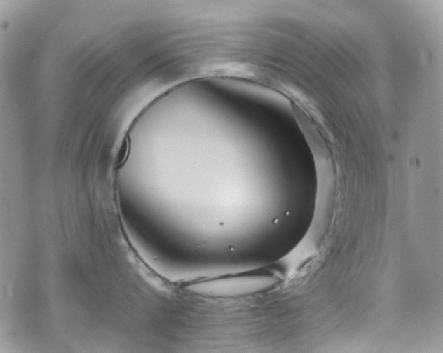 X0000070880816200606191313