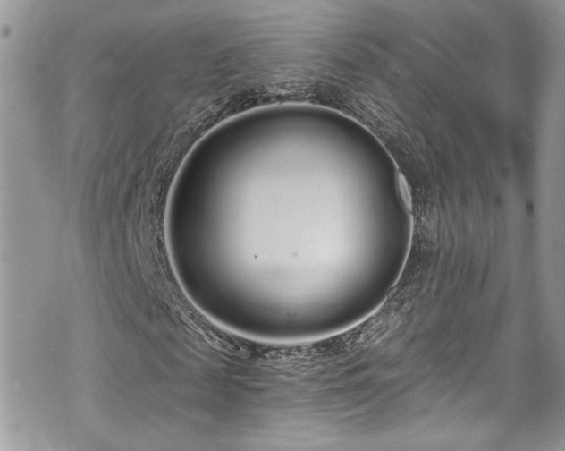 X0000070880817200606191313