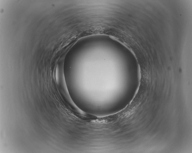 X0000070880818200606191313