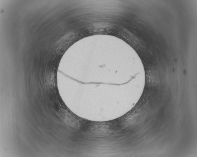 X0000070880820200606191313