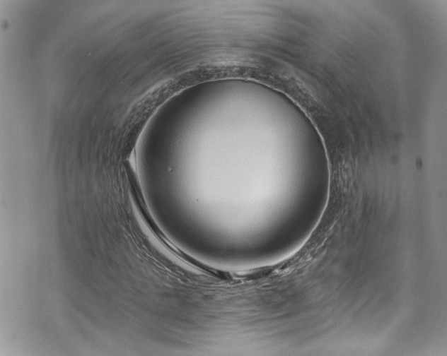 X0000070880821200606191313