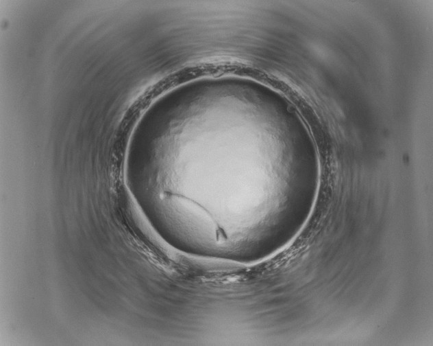 X0000070880823200606191313