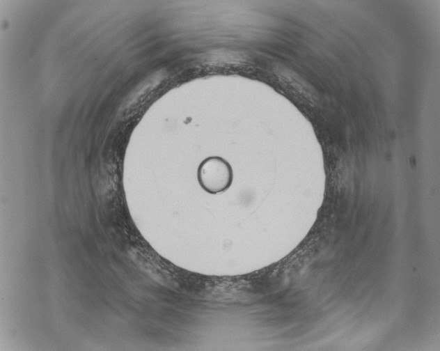 X0000070880824200606191313