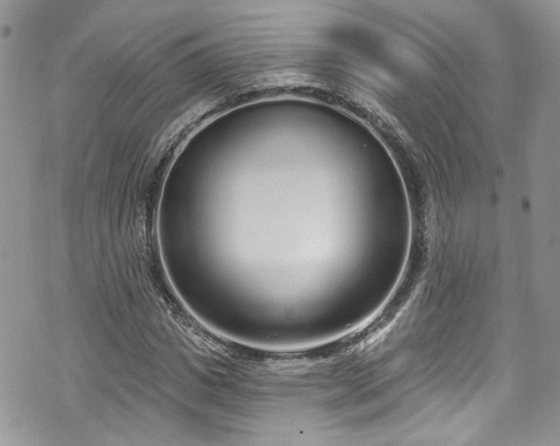 X0000070880825200606191313