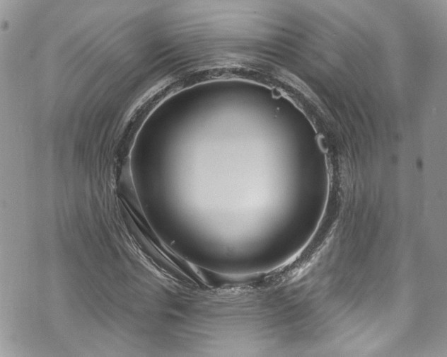 X0000070880826200606191313