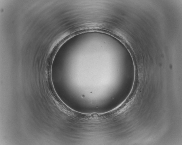 X0000070880827200606191313