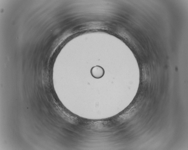 X0000070880828200606191313