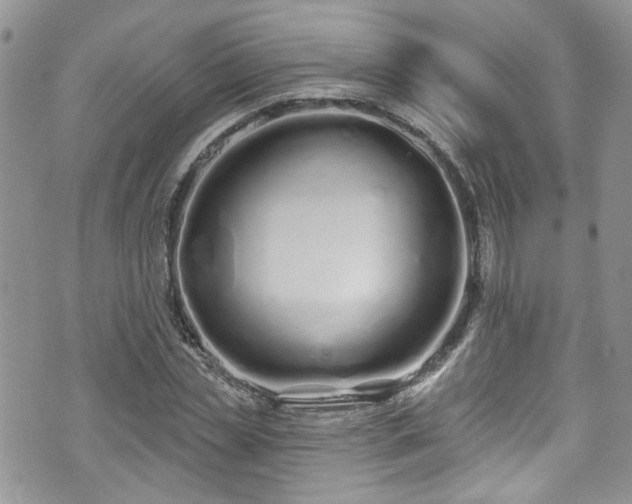 X0000070880829200606191313