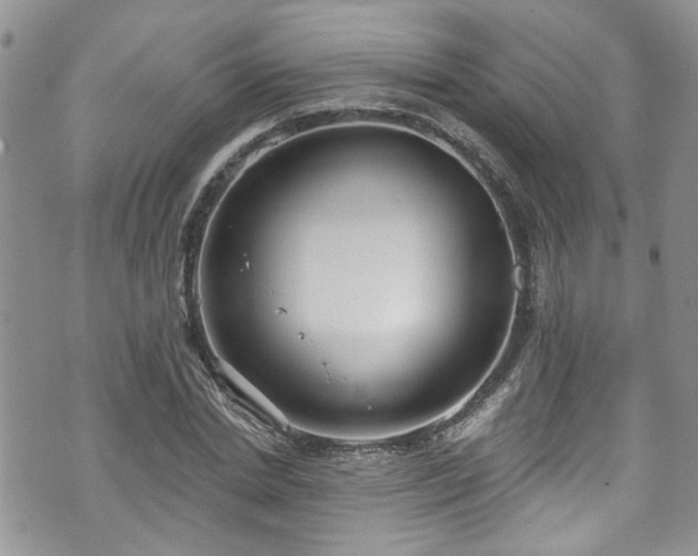 X0000070880830200606191313