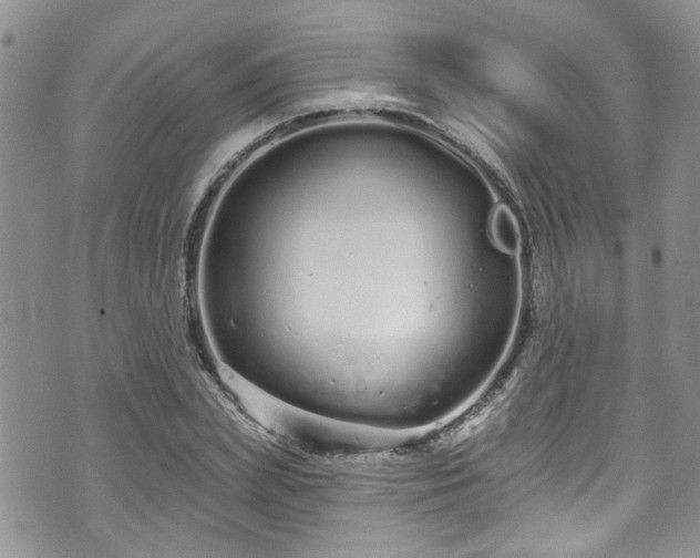 X0000070880831200606191313