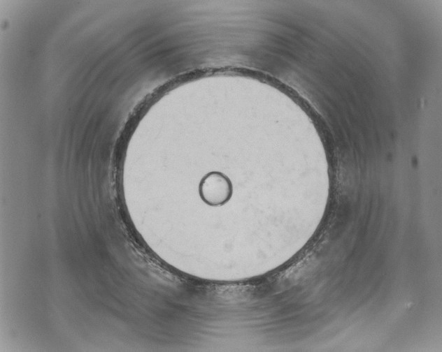 X0000070880832200606191313