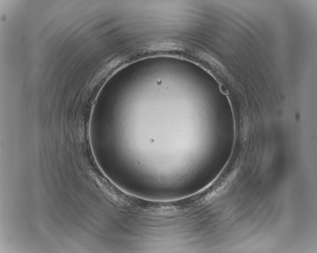 X0000070880833200606191313