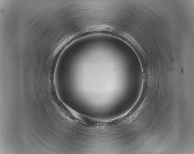 X0000070880834200606191313