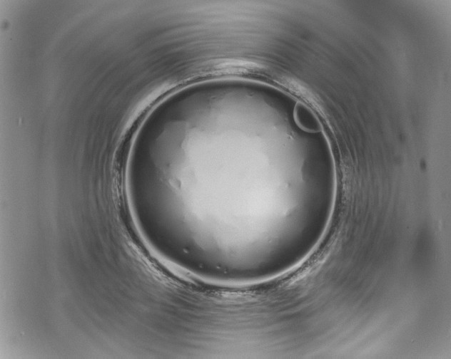 X0000070880835200606191313