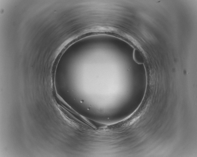 X0000070880837200606191313