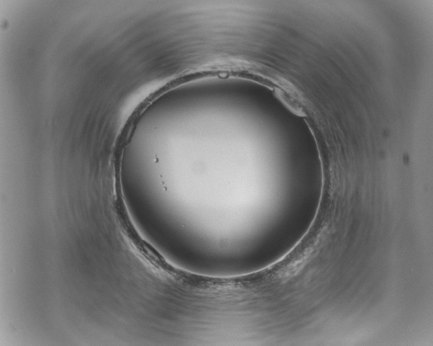 X0000070880838200606191313