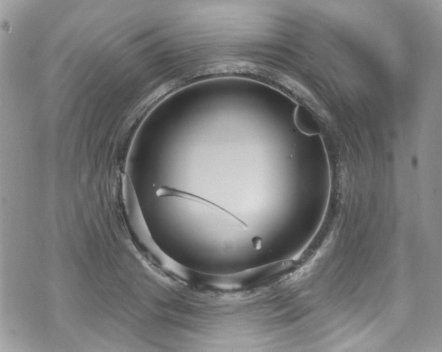 X0000070880841200606191313