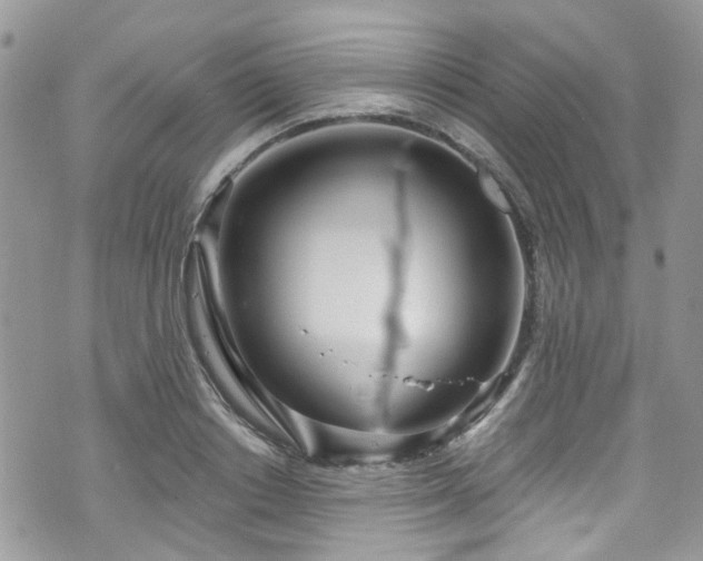 X0000070880842200606191313