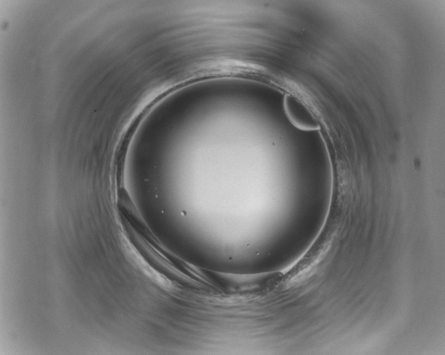 X0000070880843200606191313