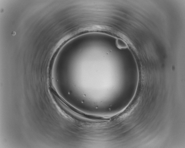 X0000070880845200606191313