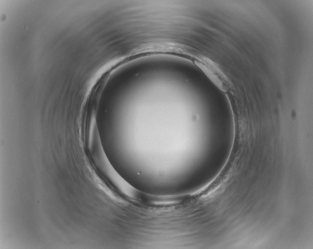 X0000070880846200606191313