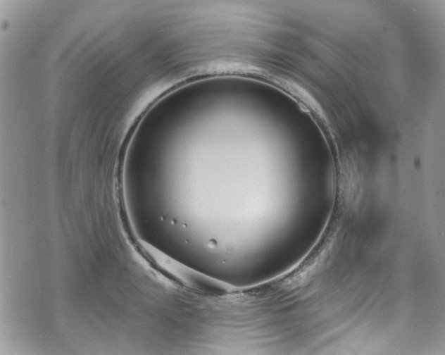 X0000070880847200606191313