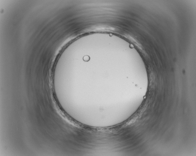 X0000070880848200606191313